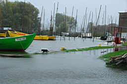 DSC_3820.JPG