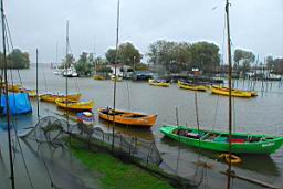 DSC_3822.JPG