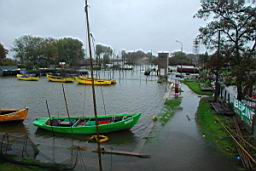 DSC_3823.JPG