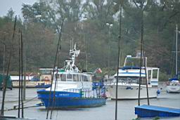 DSC_3826.JPG